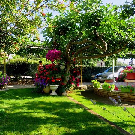 Beach Apartments Roza - The Garden Apartment Biograd Na Moru Bagian luar foto