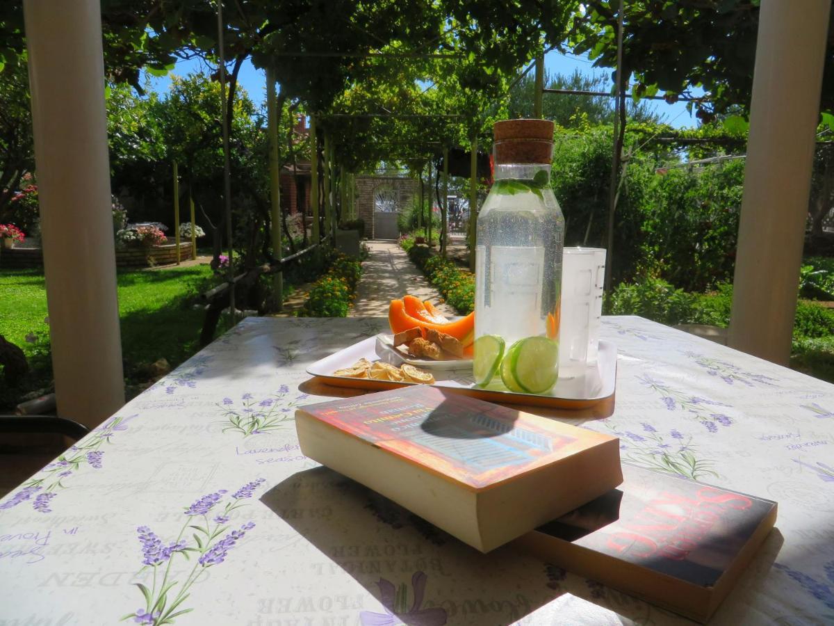 Beach Apartments Roza - The Garden Apartment Biograd Na Moru Bagian luar foto