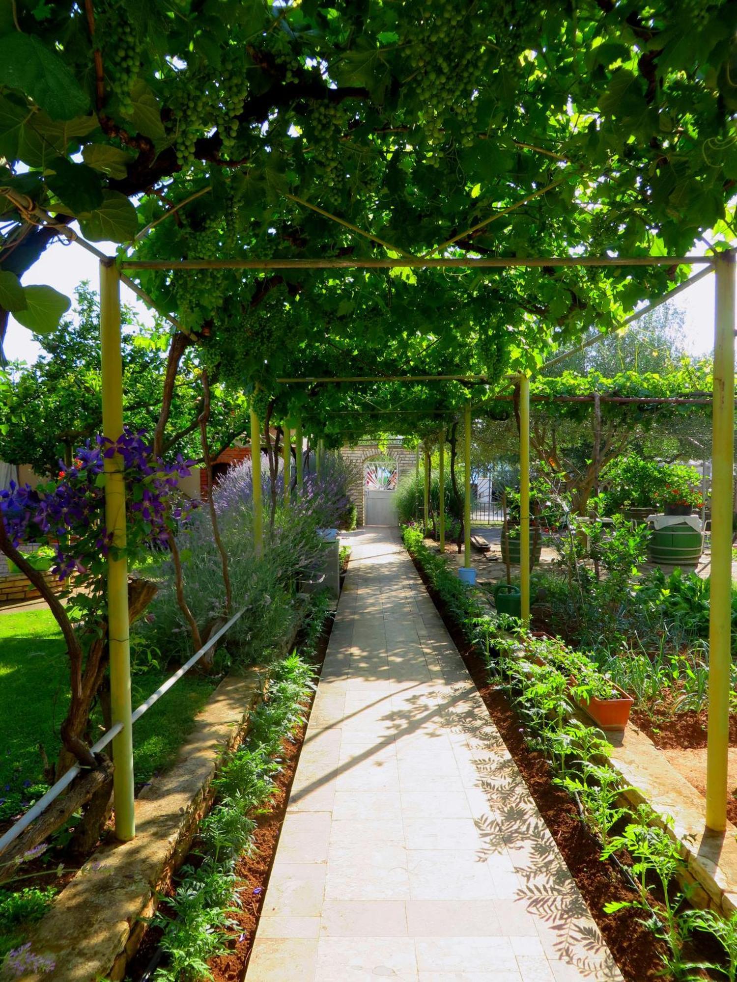 Beach Apartments Roza - The Garden Apartment Biograd Na Moru Bagian luar foto