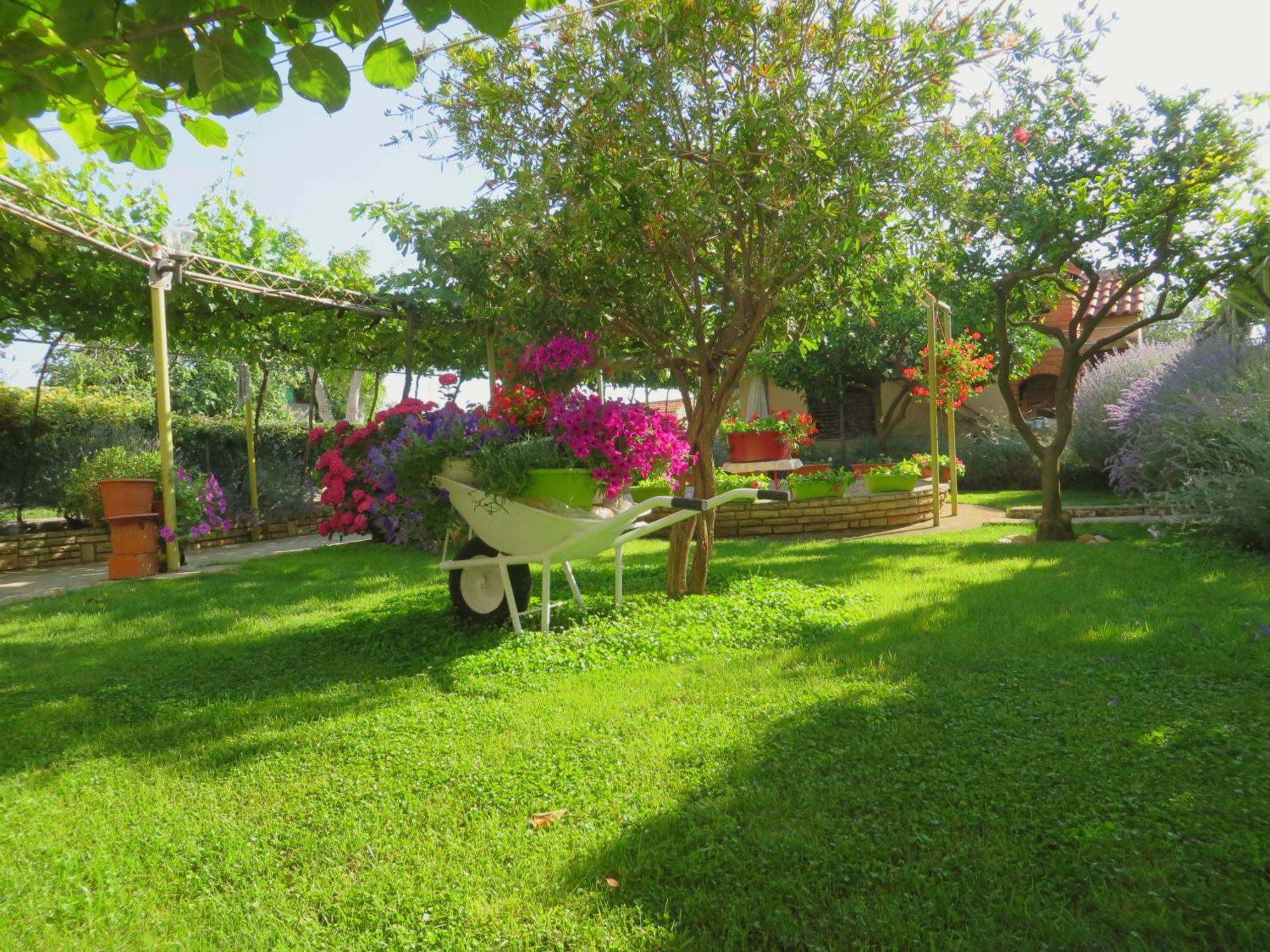 Beach Apartments Roza - The Garden Apartment Biograd Na Moru Bagian luar foto